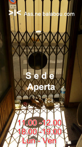siamo qui